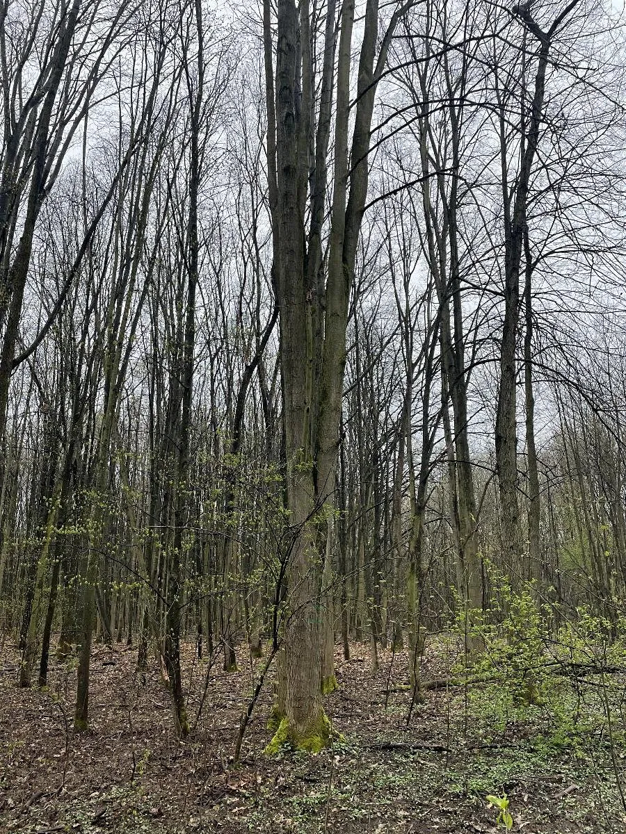 Fotka 5 z 10